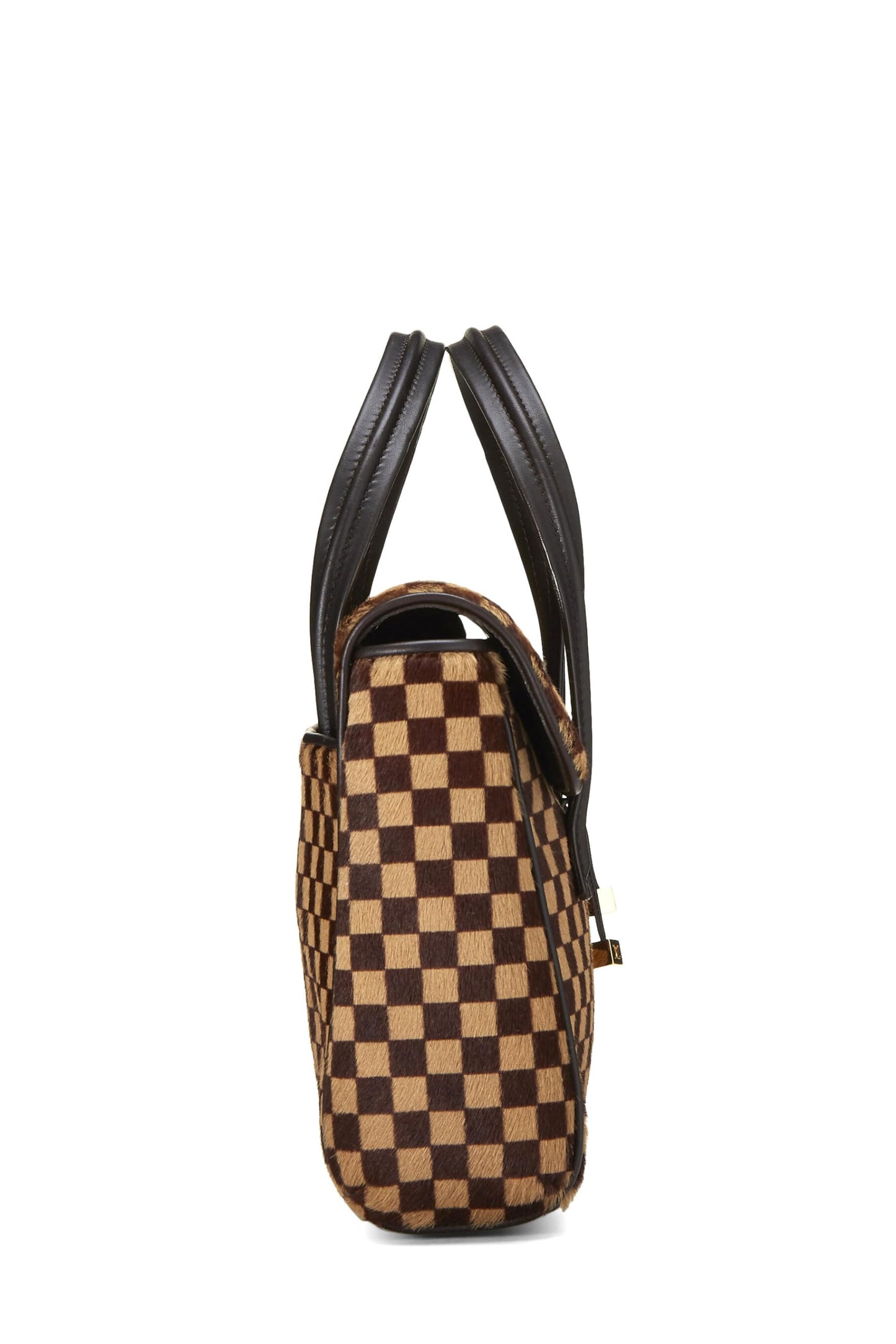 Louis Vuitton, d'occasion, Damier Sauvage Lion, marron