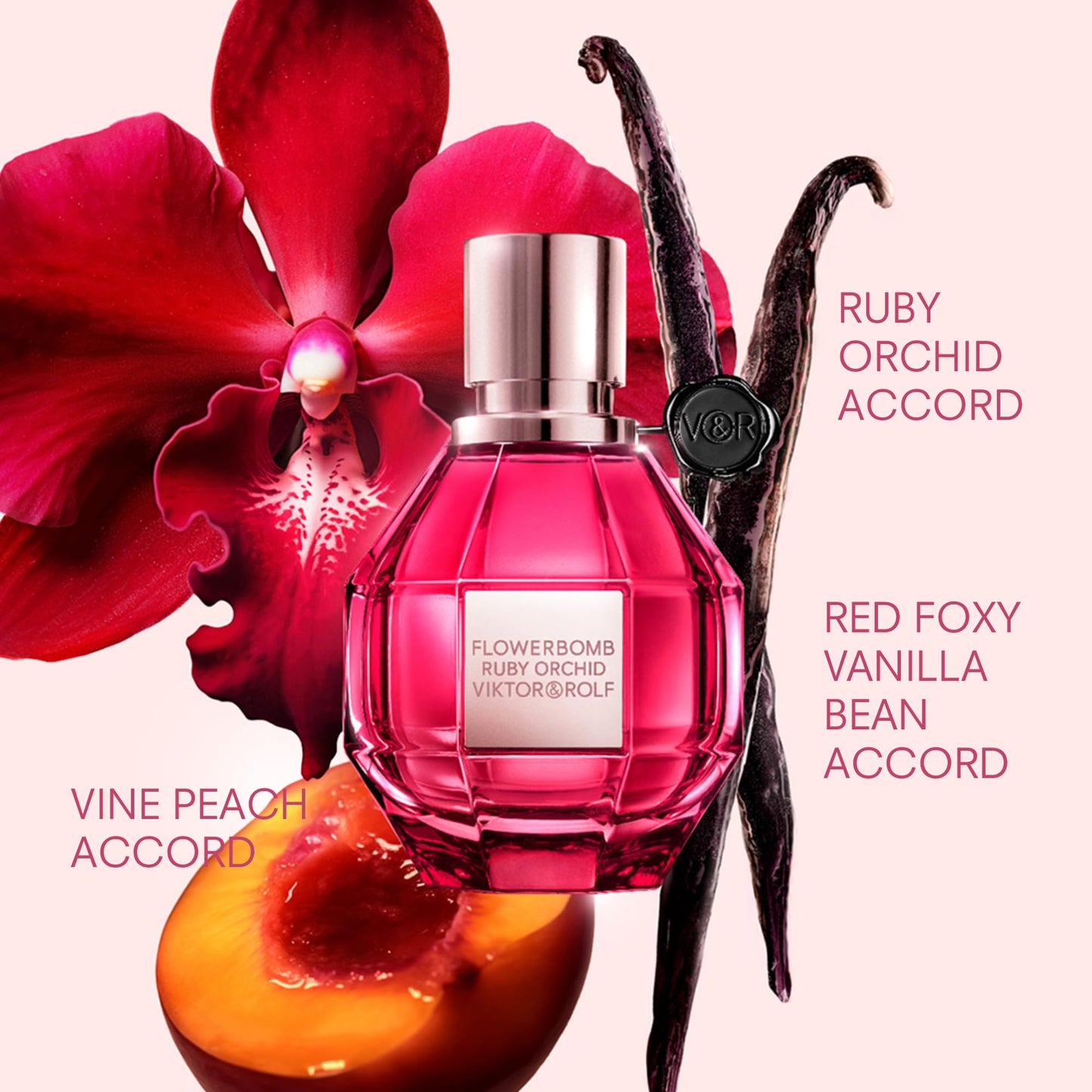 Viktor&amp;Rolf - Flowerbomb Ruby Orchid Eau de Parfum - Parfum Femme - Floral &amp; Fruité - Avec des Notes de Vanille &amp; Pêche - 10 ml - Format Voyage