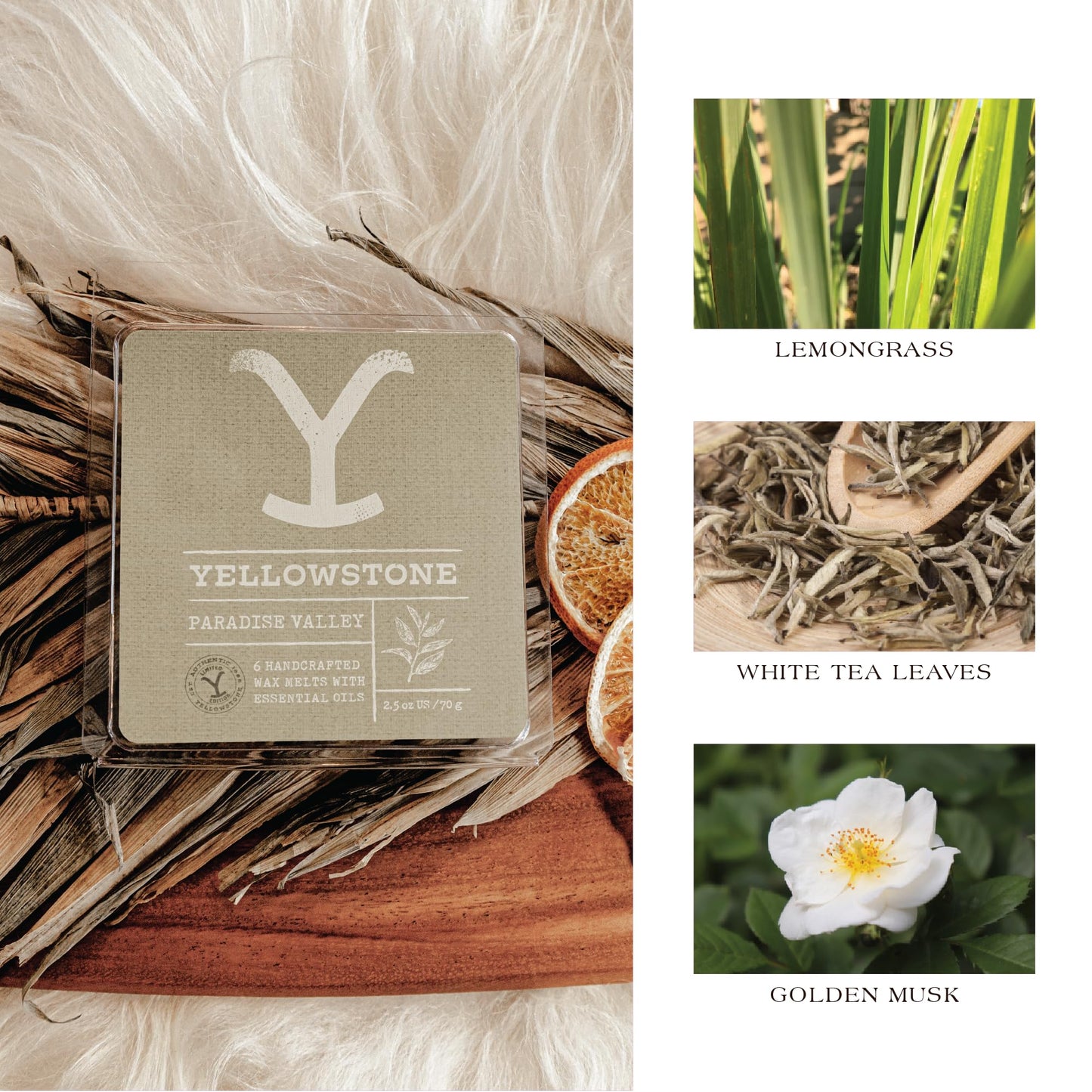 Lot de 3 cires fondantes Yellowstone, 70 g – Paradise Valley, Campfire Suede, Pinecrest Ridge