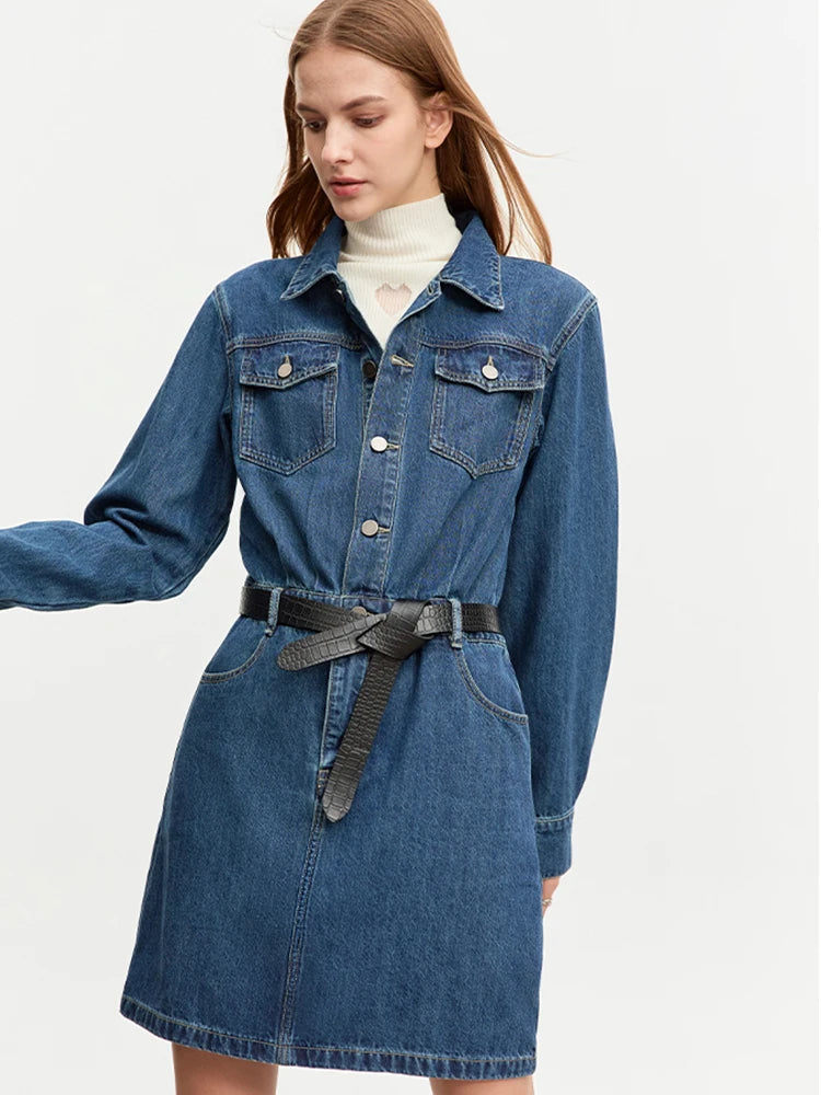 AMII Minimalist Fashion Women Denim Dress 2023 Winter New Short Safari Style Long Sleeve Pullover Mini Shirt Vestidos 12343408